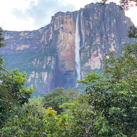 Der imposante Angel Falls Wasserfall in Venezuela stürzt über eine steile Felswand hinab, umgeben von üppiger Vegetation und wildem Dschungel. Diese kraftvolle Naturszene repräsentiert die Ursprünge und Rohstoffe hochwertiger Rumprodukte wie ONE RUM.