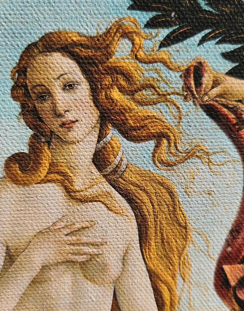 ONE RUM MUSEUM EDITION X Sandro Botticelli