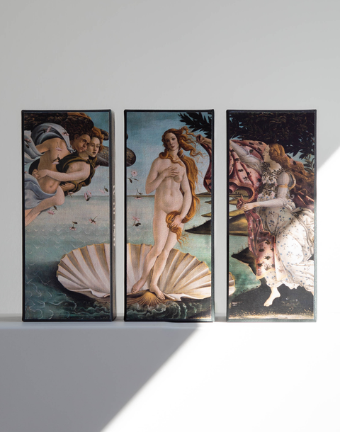 ONE RUM MUSEUM EDITION X Sandro Botticelli